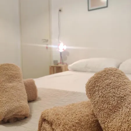 Shared Apartment, In The Centre With Free P Cars *