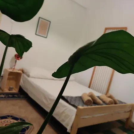 Shared Apartment, In The Centre With Free P Cars *