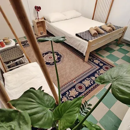 Shared Apartment, In The Centre With Free P Cars Homestay Drama